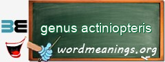 WordMeaning blackboard for genus actiniopteris